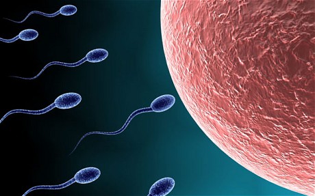 Pass through underwear sperm Can sperm