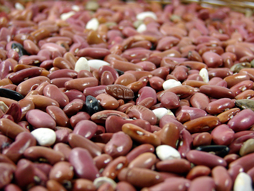 Kidney beans