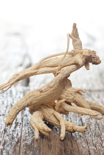 Ginseng