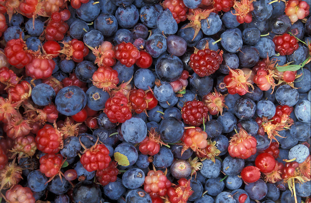 berries