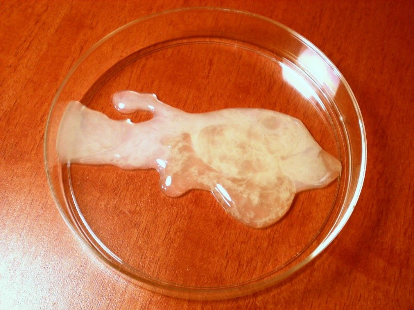 What Does Sperm Taste Like New Health Advisor what-does-sperm-taste-like-new-health-advisor