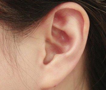 possible function of the muscles that move ears