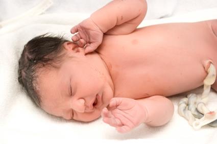 What Happens to the Umbilical Cord after Birth?