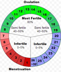 Safety Phases of Sex