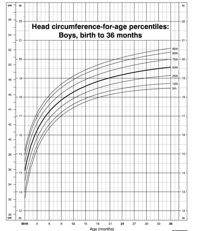 Head Chart