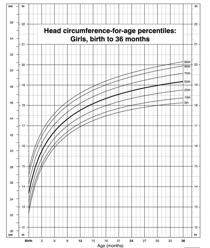 Wrist Circumference Frame Size Chart