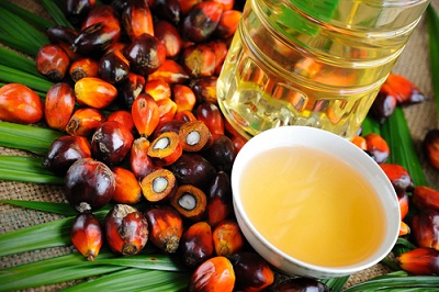 Replacing Olive Oil