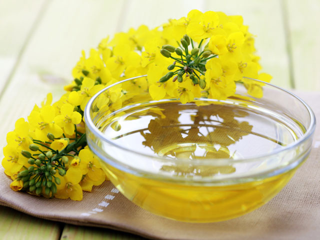 Replacing Olive Oil