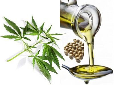 Substitute for Vegetable Oil
