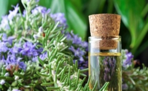 Essential Oils for Congestion