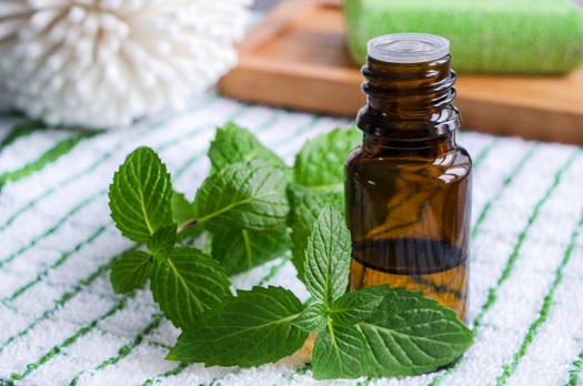 Essential Oils for Congestion