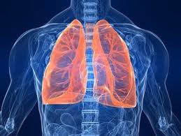 Bacterial Infection of the Lungs