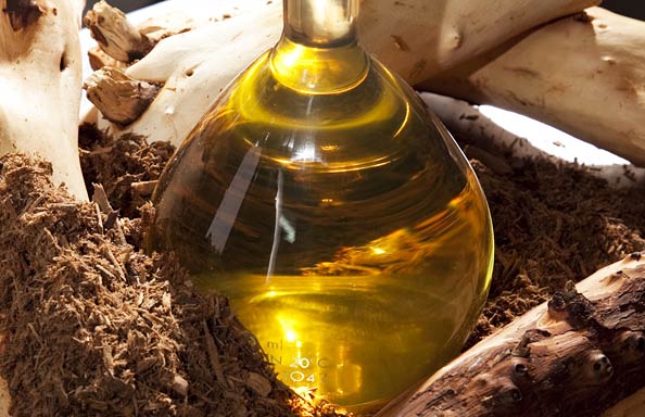 13 Essential Oils for Stress That Work Wonders