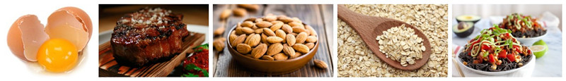 Why do we need protein?