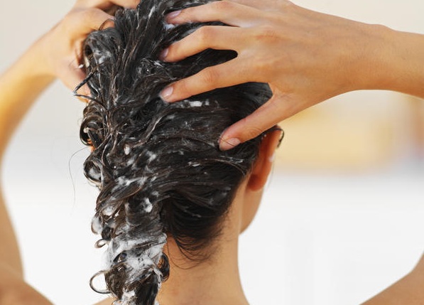 Where Do Lice Come From? | New Health Advisor Where Do Lice Come From? | New Health Advisor