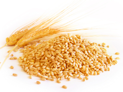 Whole Grain vs. Whole Wheat