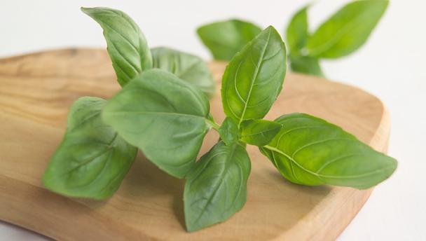 What to Eat After Food Poisoning