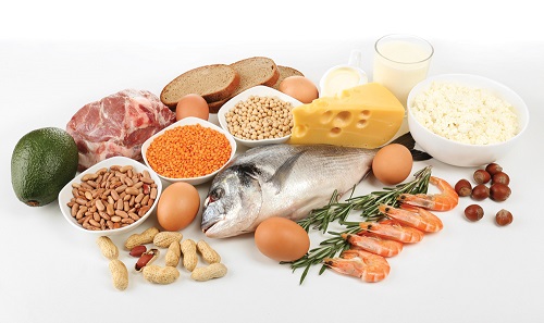 Why is protein good for you?