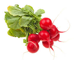 Is Ambrosia Harmful to You?