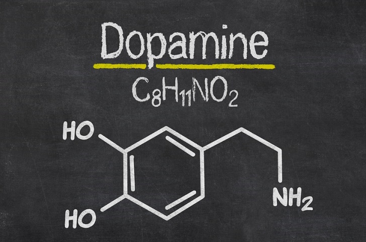 What Does Dopamine Do?