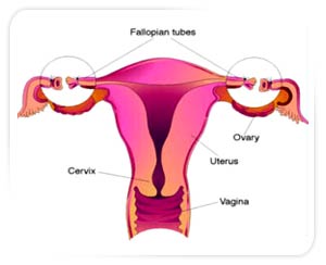 Tubal Ligation