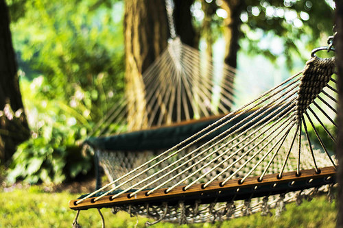 Hammock