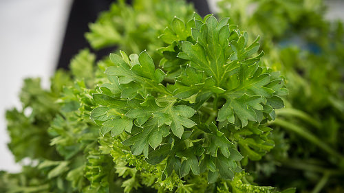 Parsley