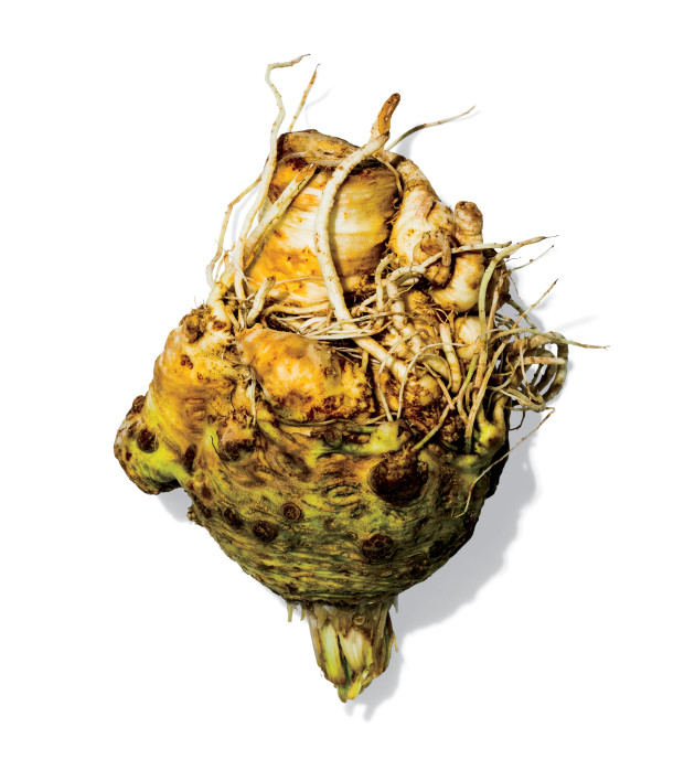 Herbal Medicine for Kidneys