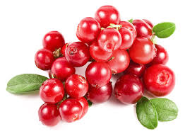 Herbal Medicine for Kidneys