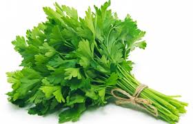 Herbal Medicine for Kidneys