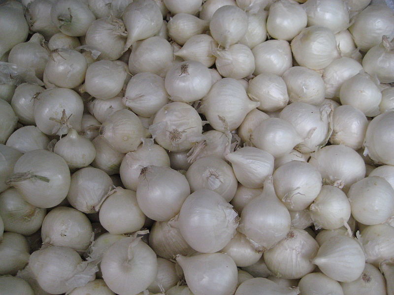 garlic