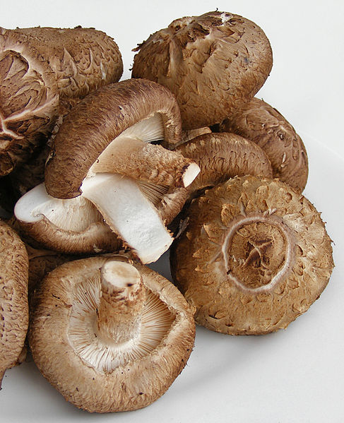 Shiitake mushrooms