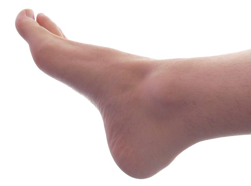 foot
